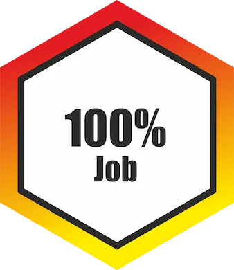 Career placement support icon